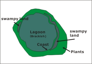 Niau Topography