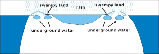 Niau Lagoon is brackish